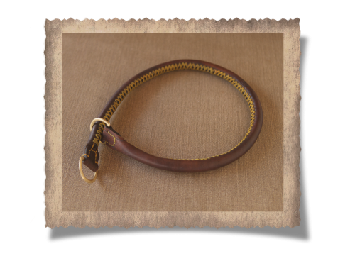 The Simonstown Trainer Dog Collar, dog collar, yellow stitching, leather product, brass finishes, handcrafted